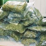 В Нидерландах задержан нарушитель из Голландии